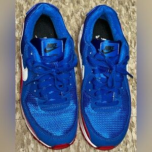 Nike Royal Blue Mesh Sneakers